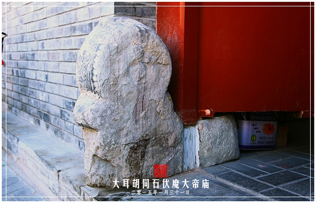 查看更多精彩图片