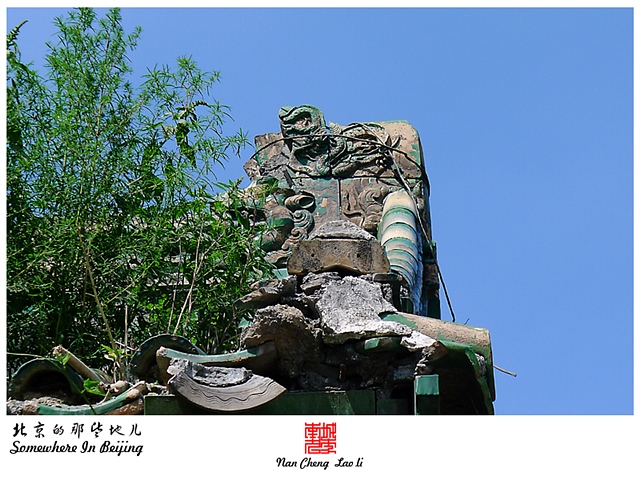 查看更多精彩图片