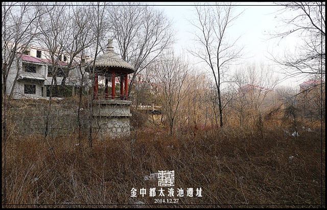 查看更多精彩图片