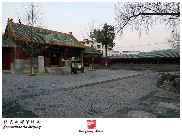 查看更多精彩图片