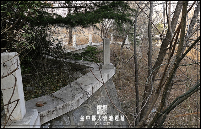 查看更多精彩图片