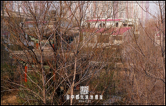 查看更多精彩图片