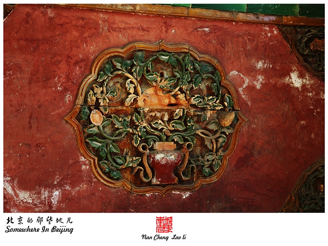 查看更多精彩图片