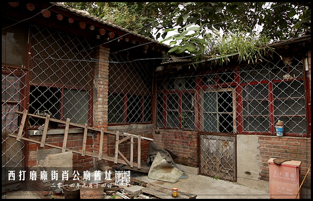 查看更多精彩图片