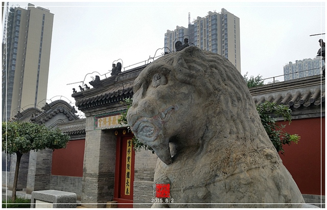 查看更多精彩图片