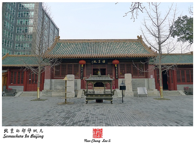 查看更多精彩图片