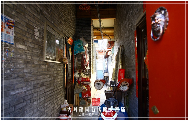 查看更多精彩图片