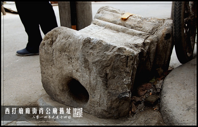 查看更多精彩图片