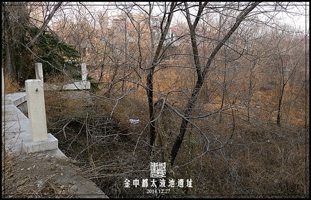 查看更多精彩图片