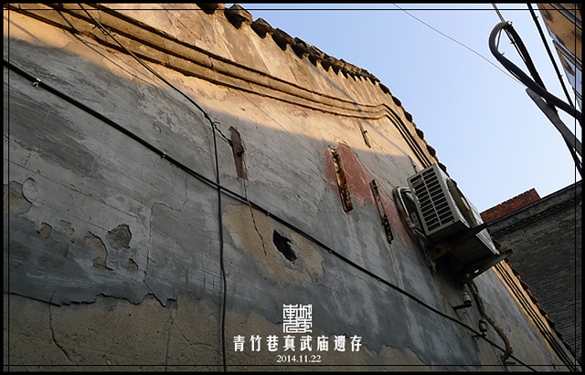 查看更多精彩图片
