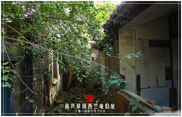查看更多精彩图片