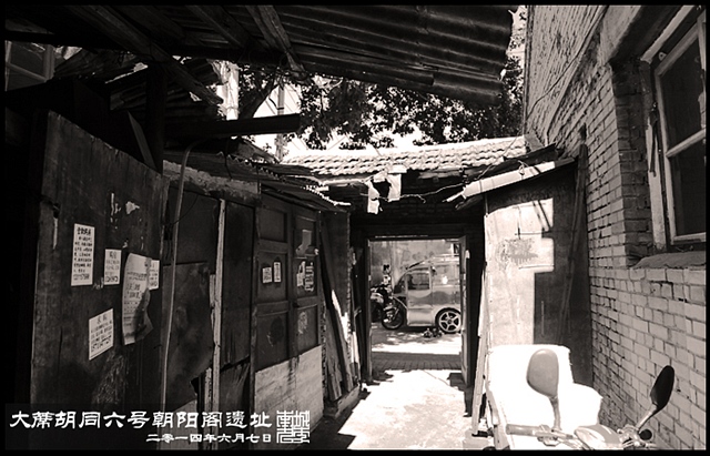 查看更多精彩图片