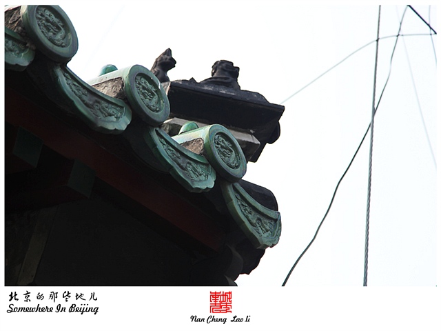 查看更多精彩图片