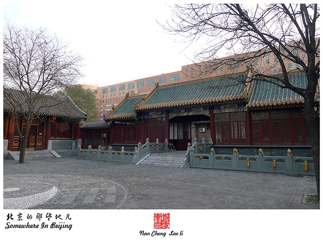 查看更多精彩图片