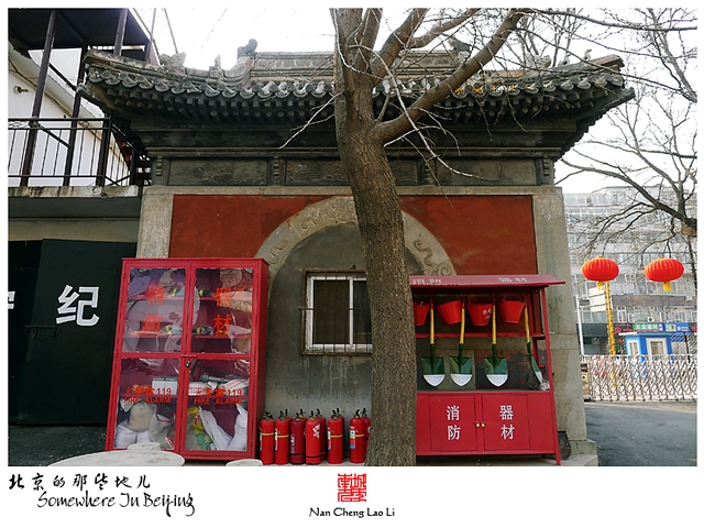 查看更多精彩图片