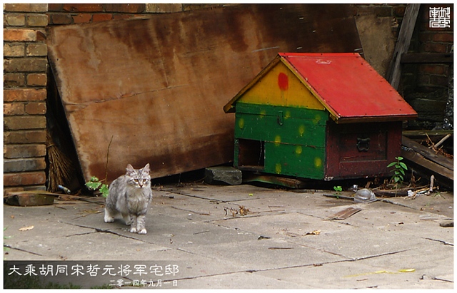 查看更多精彩图片