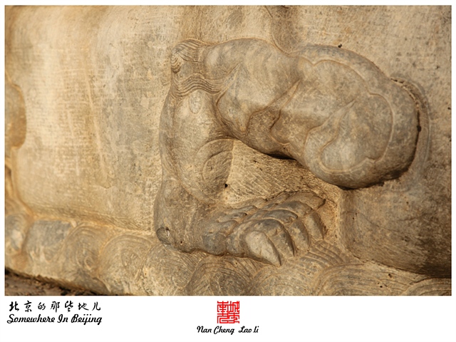 查看更多精彩图片