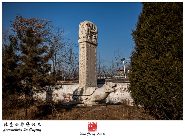 查看更多精彩图片
