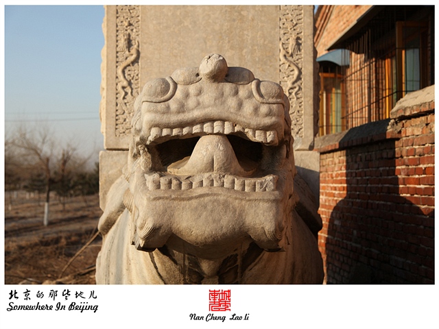 查看更多精彩图片