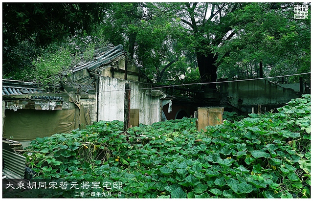 查看更多精彩图片