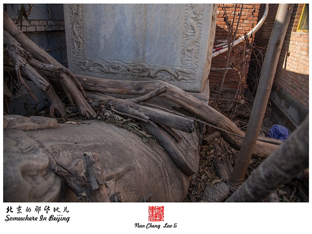 查看更多精彩图片