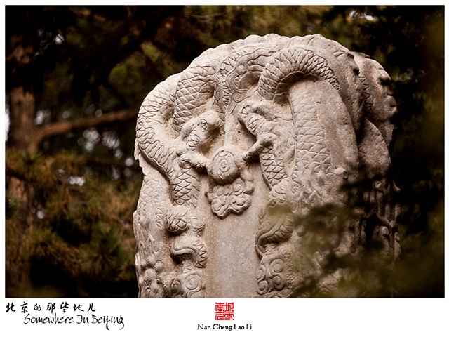 查看更多精彩图片