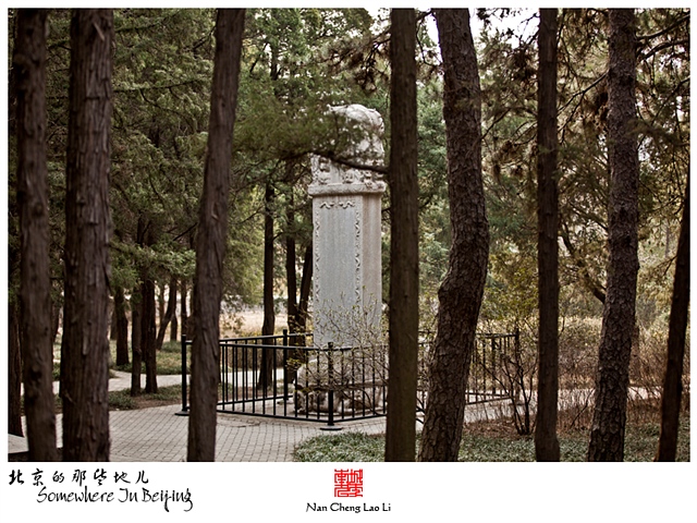 查看更多精彩图片