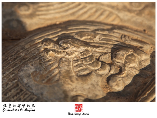 查看更多精彩图片