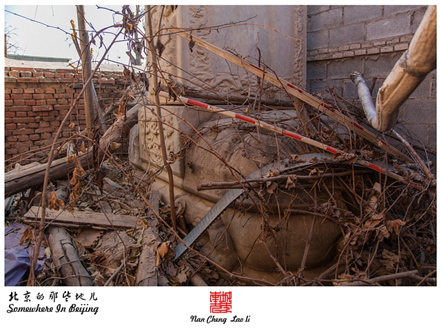 查看更多精彩图片