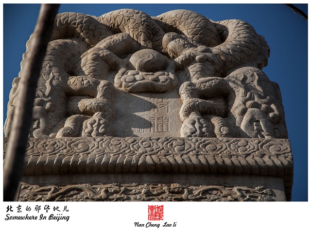 查看更多精彩图片
