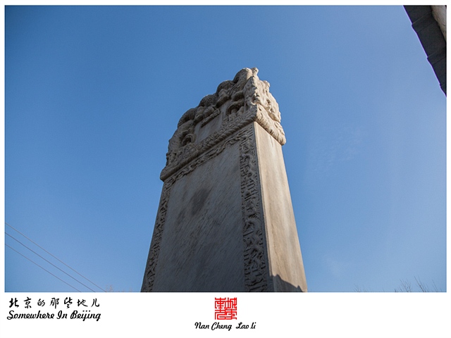 查看更多精彩图片