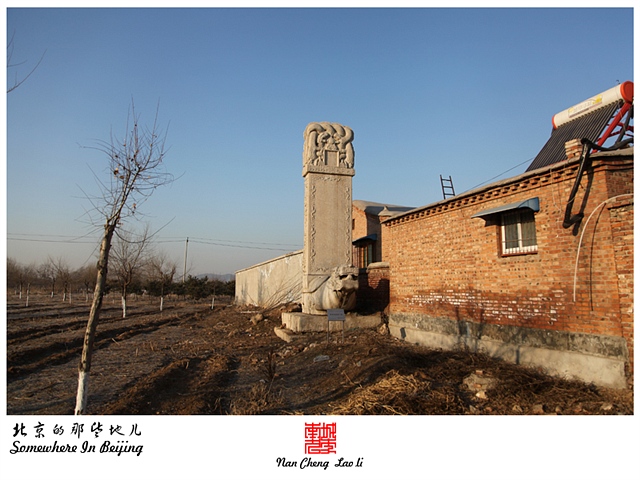 查看更多精彩图片