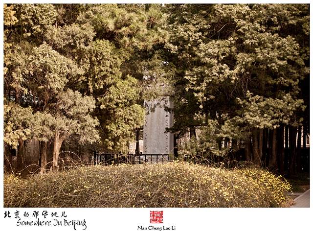 查看更多精彩图片