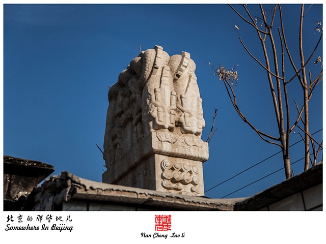 查看更多精彩图片