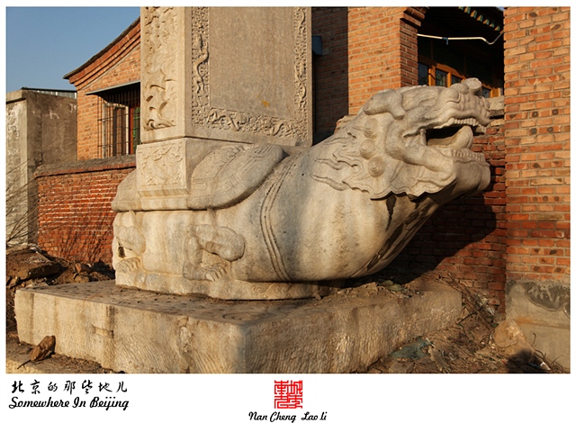 查看更多精彩图片