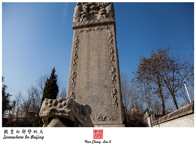 查看更多精彩图片
