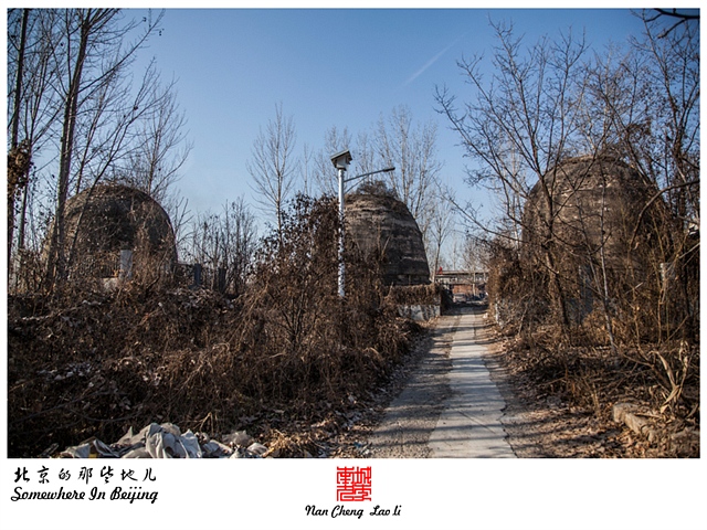 查看更多精彩图片