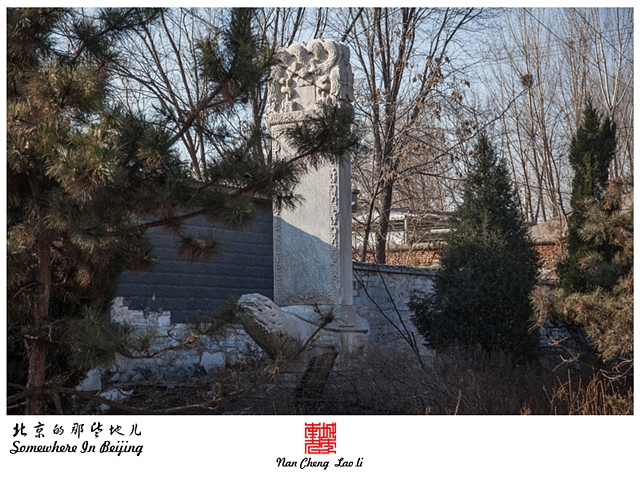 查看更多精彩图片