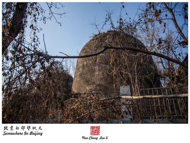 查看更多精彩图片