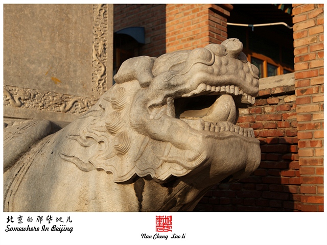 查看更多精彩图片