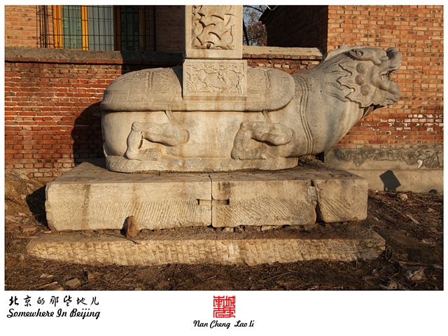 查看更多精彩图片
