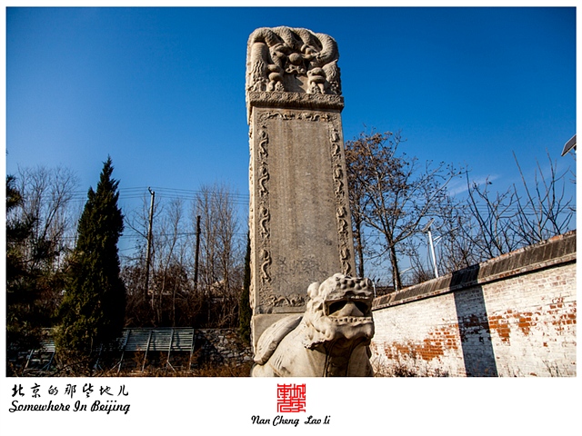 查看更多精彩图片