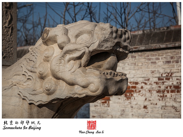 查看更多精彩图片