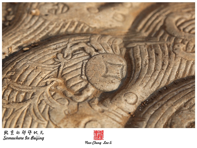 查看更多精彩图片