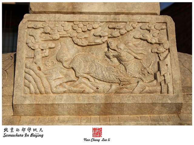 查看更多精彩图片