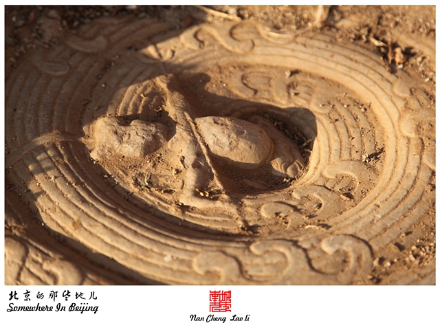 查看更多精彩图片