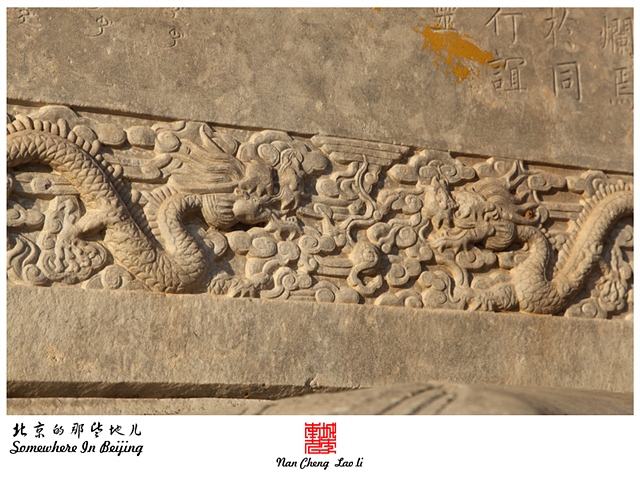 查看更多精彩图片