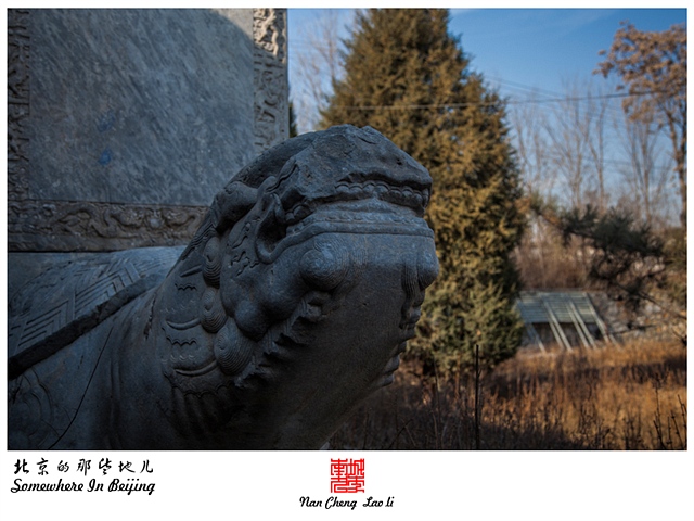 查看更多精彩图片