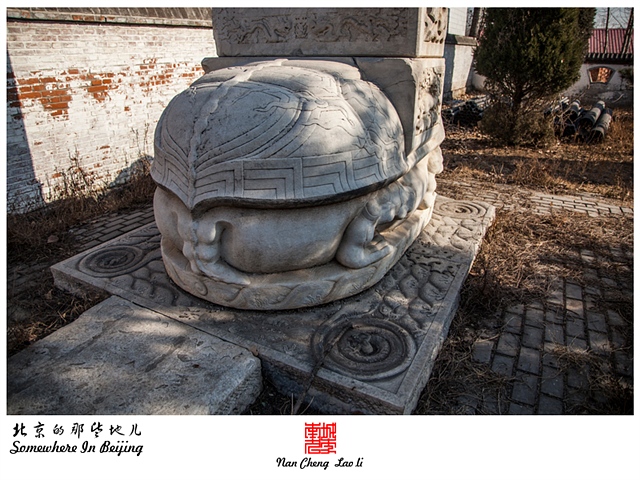 查看更多精彩图片