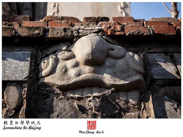 查看更多精彩图片
